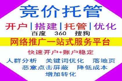 行业领先企业的网站sem托管实践