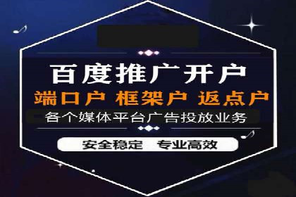 专业SEM托管助力企业快速成长案例分析